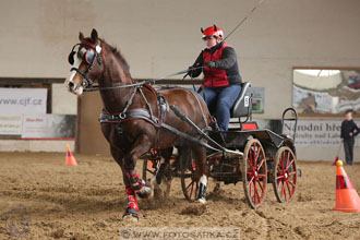 11.2.2017 - spřežení Slatiňany