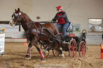 11.2.2017 - spřežení Slatiňany
