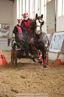 11.2.2017 - spřežení Slatiňany