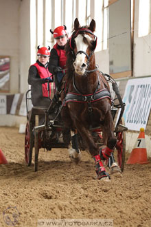 11.2.2017 - spřežení Slatiňany