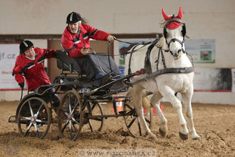 11.2.2017 - spřežení Slatiňany