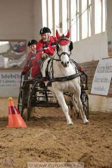 11.2.2017 - spřežení Slatiňany