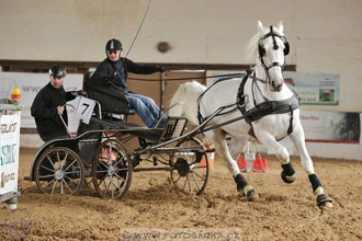 11.2.2017 - spřežení Slatiňany
