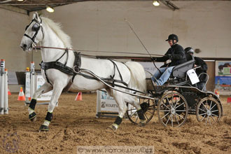11.2.2017 - spřežení Slatiňany