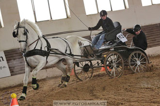 11.2.2017 - spřežení Slatiňany