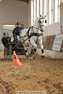 11.2.2017 - spřežení Slatiňany