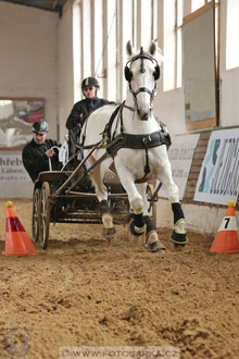11.2.2017 - spřežení Slatiňany
