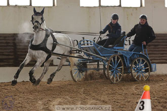 11.2.2017 - spřežení Slatiňany