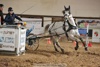 11.2.2017 - spřežení Slatiňany