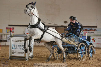 11.2.2017 - spřežení Slatiňany