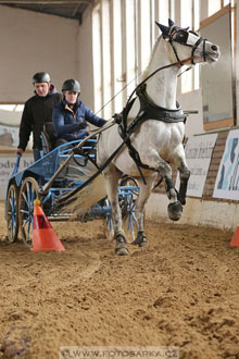11.2.2017 - spřežení Slatiňany
