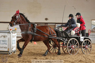 11.2.2017 - spřežení Slatiňany