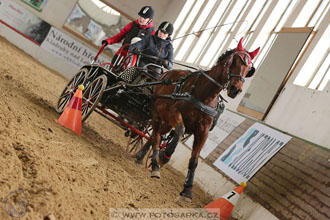 11.2.2017 - spřežení Slatiňany