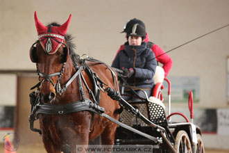 11.2.2017 - spřežení Slatiňany