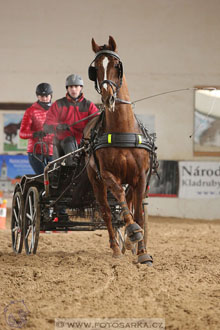 11.2.2017 - spřežení Slatiňany