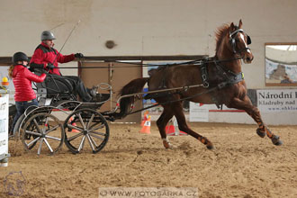 11.2.2017 - spřežení Slatiňany