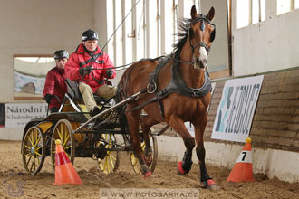 11.2.2017 - spřežení Slatiňany