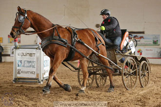 11.2.2017 - spřežení Slatiňany