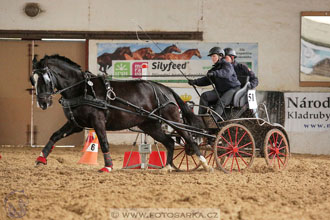 11.2.2017 - spřežení Slatiňany