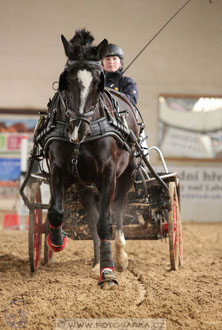 11.2.2017 - spřežení Slatiňany