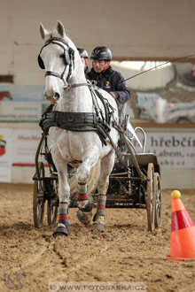 11.2.2017 - spřežení Slatiňany