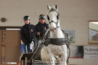 11.2.2017 - spřežení Slatiňany