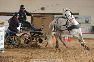 11.2.2017 - spřežení Slatiňany