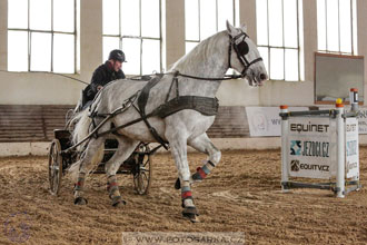 11.2.2017 - spřežení Slatiňany