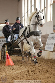 11.2.2017 - spřežení Slatiňany