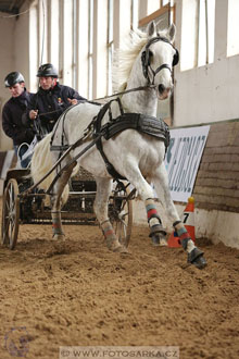 11.2.2017 - spřežení Slatiňany