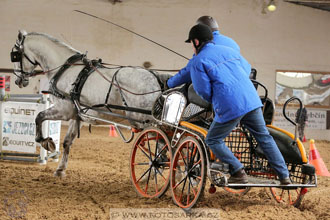 11.2.2017 - spřežení Slatiňany
