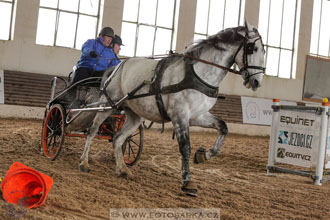 11.2.2017 - spřežení Slatiňany