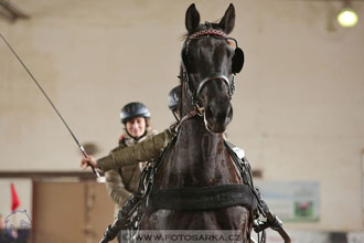 11.2.2017 - spřežení Slatiňany