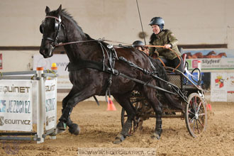 11.2.2017 - spřežení Slatiňany