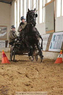 11.2.2017 - spřežení Slatiňany