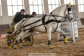 11.2.2017 - spřežení Slatiňany