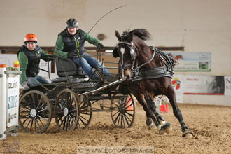 11.2.2017 - spřežení Slatiňany