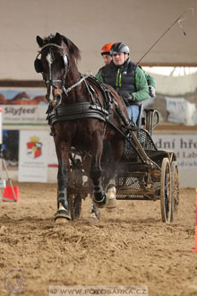11.2.2017 - spřežení Slatiňany