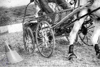 11.2.2017 - spřežení Slatiňany