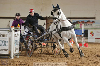 11.2.2017 - spřežení Slatiňany