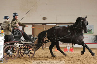 11.2.2017 - spřežení Slatiňany