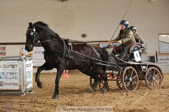 11.2.2017 - spřežení Slatiňany
