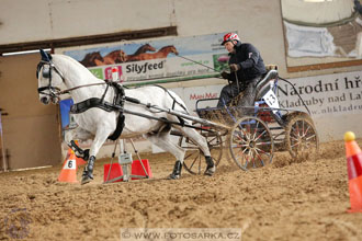 11.2.2017 - spřežení Slatiňany