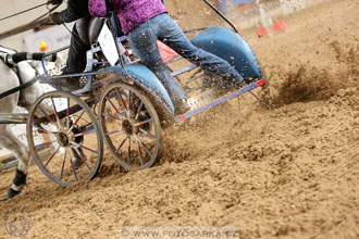 11.2.2017 - spřežení Slatiňany
