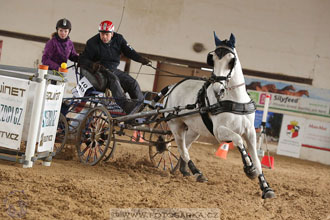 11.2.2017 - spřežení Slatiňany