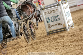 11.2.2017 - spřežení Slatiňany