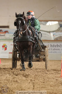 11.2.2017 - spřežení Slatiňany