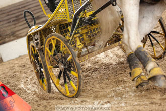 11.2.2017 - spřežení Slatiňany