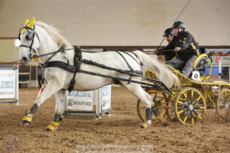 11.2.2017 - spřežení Slatiňany