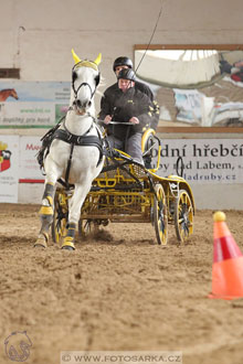 11.2.2017 - spřežení Slatiňany